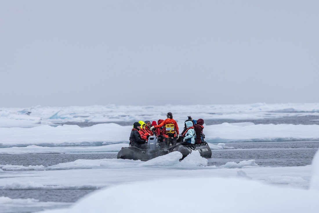 HDS10-25, Day 4, 5D5A1591 © Unknown photographer - Oceanwide Expeditions.jpg