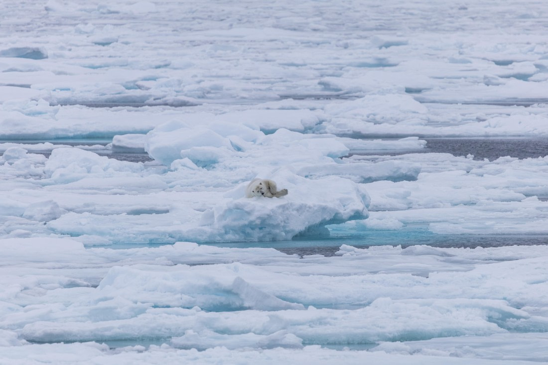 HDS10-25, Day 4, 5D5A1652 © Unknown photographer - Oceanwide Expeditions.jpg
