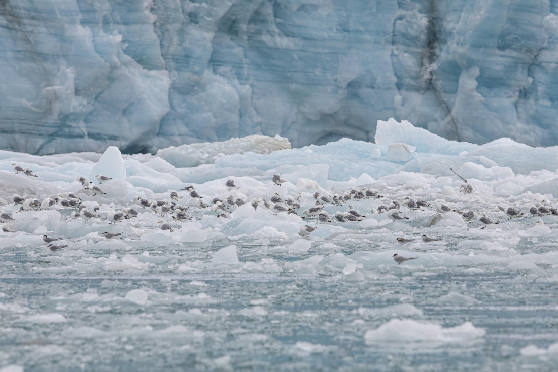HDS10-25, Day 5, 5D5A1814 © Unknown photographer - Oceanwide Expeditions.jpg
