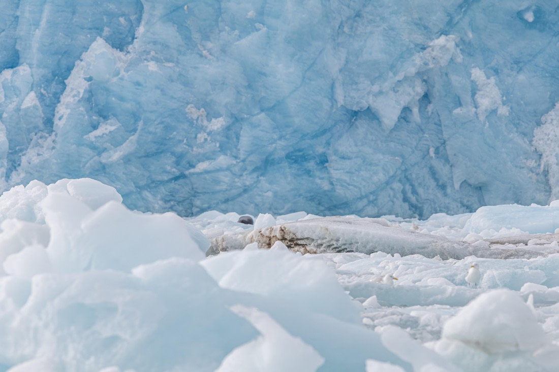 HDS10-25, Day 5, 5D5A1820 © Unknown photographer - Oceanwide Expeditions.jpg