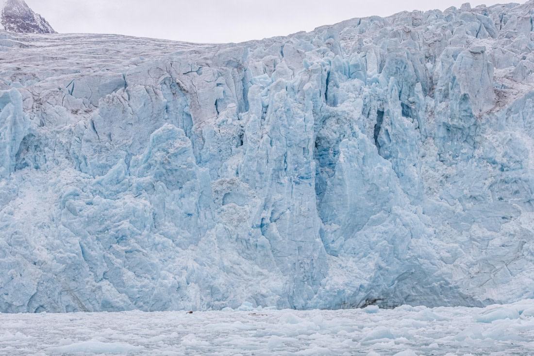 HDS10-25, Day 5, 5D5A1839 © Unknown photographer - Oceanwide Expeditions.jpg