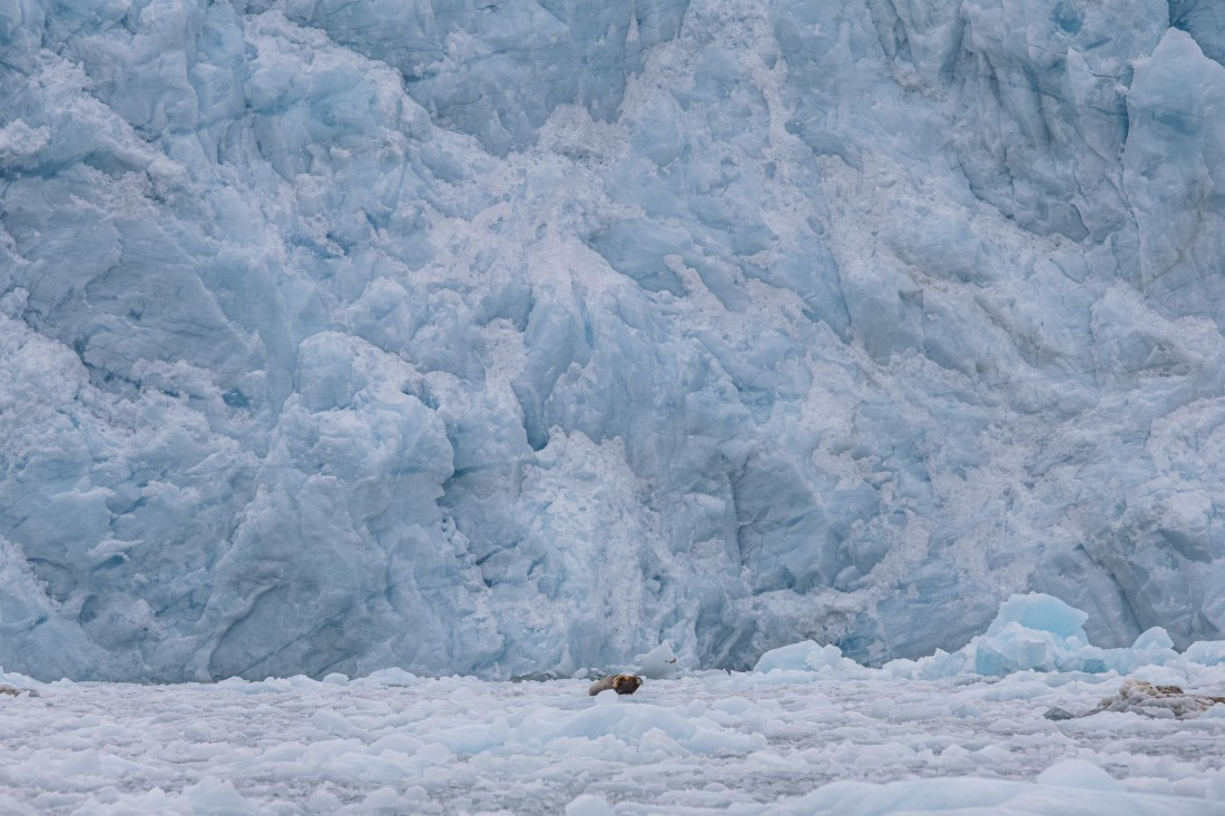 HDS10-25, Day 5, 5D5A1842 © Unknown photographer - Oceanwide Expeditions.jpg