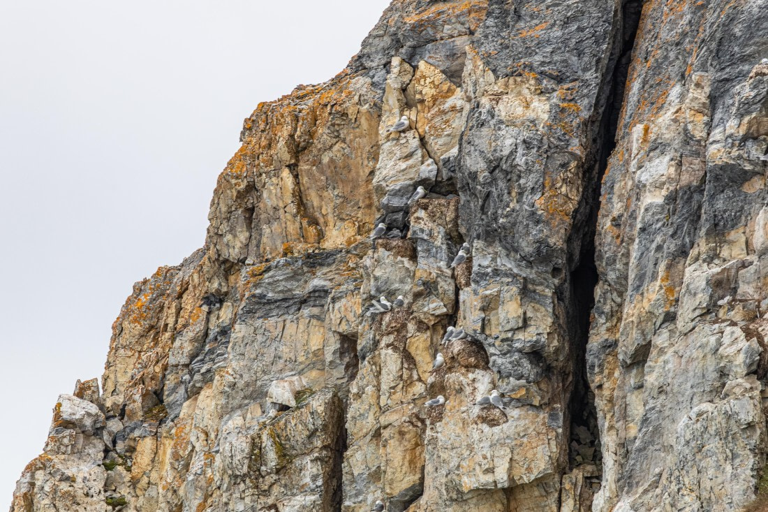 HDS10-25, Day 5, 5D5A1868 © Unknown photographer - Oceanwide Expeditions.jpg