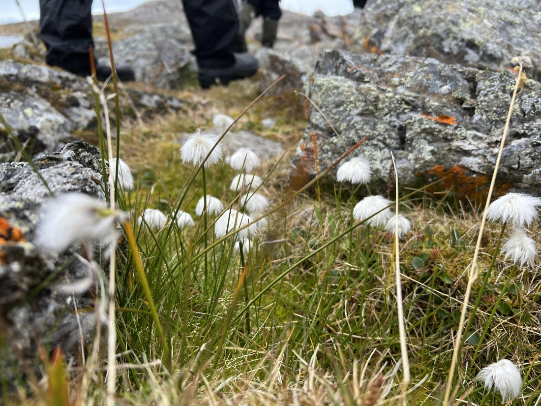 HDS10-25, Day 5, IMG_7118 © Unknown photographer - Oceanwide Expeditions.JPG