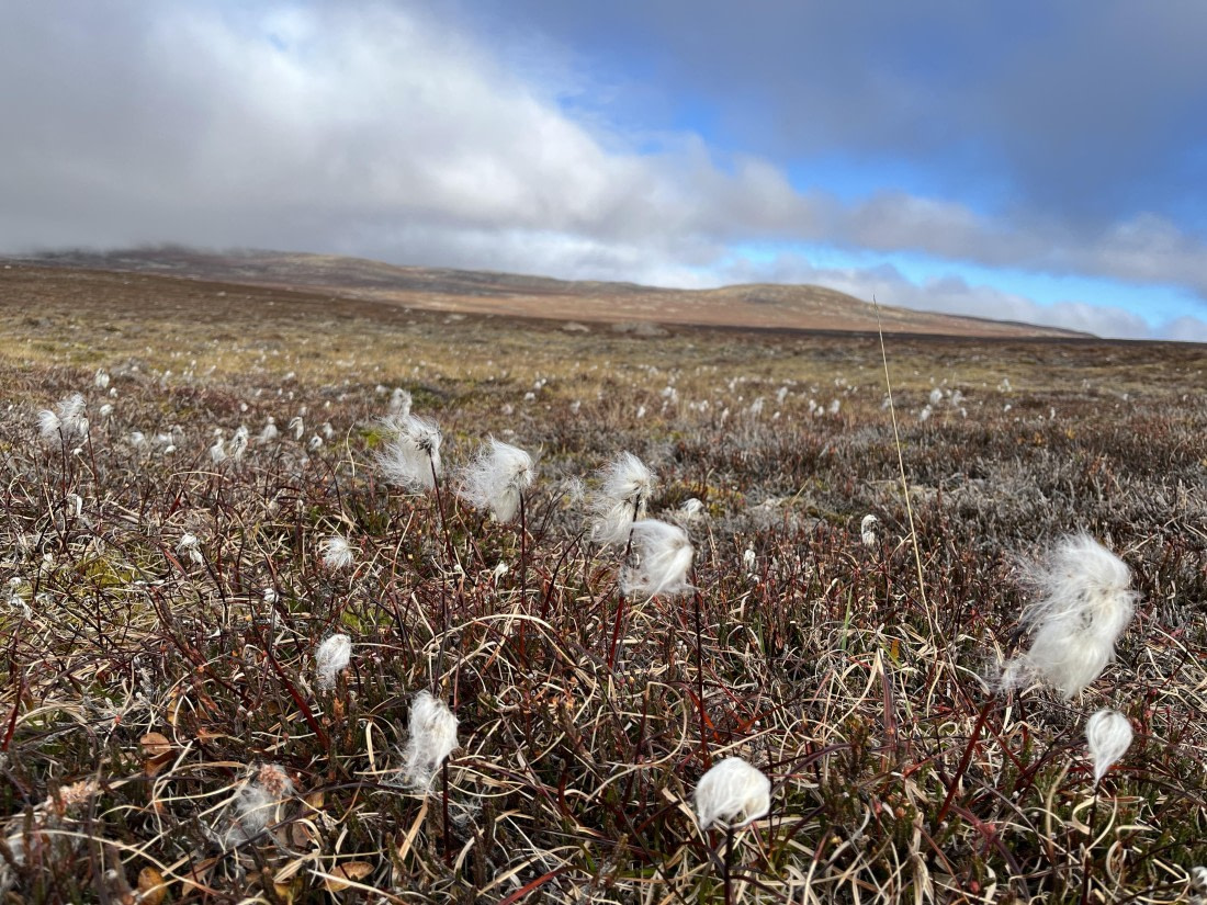 HDS11-25, Day 11, TripLog 02092025 - Joshua Peck-4.jpeg © Josh Peck - Oceanwide Expeditions.jpeg