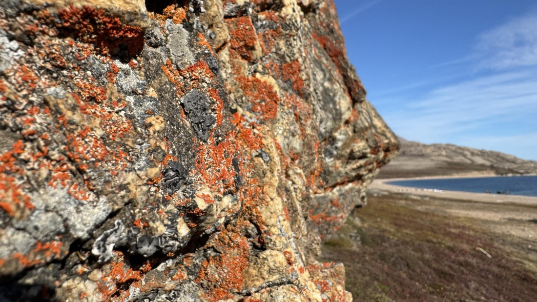 HDS11-25, Day 5, FullSizeRender.jpg © Unknown photographer - Oceanwide Expeditions.jpg