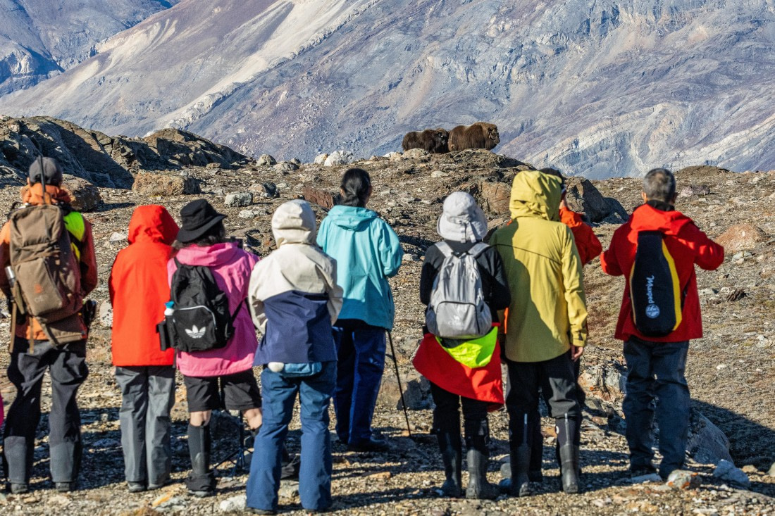 HDS11-25, Day 6, 5D5A2574 © Unknown photographer - Oceanwide Expeditions.jpg