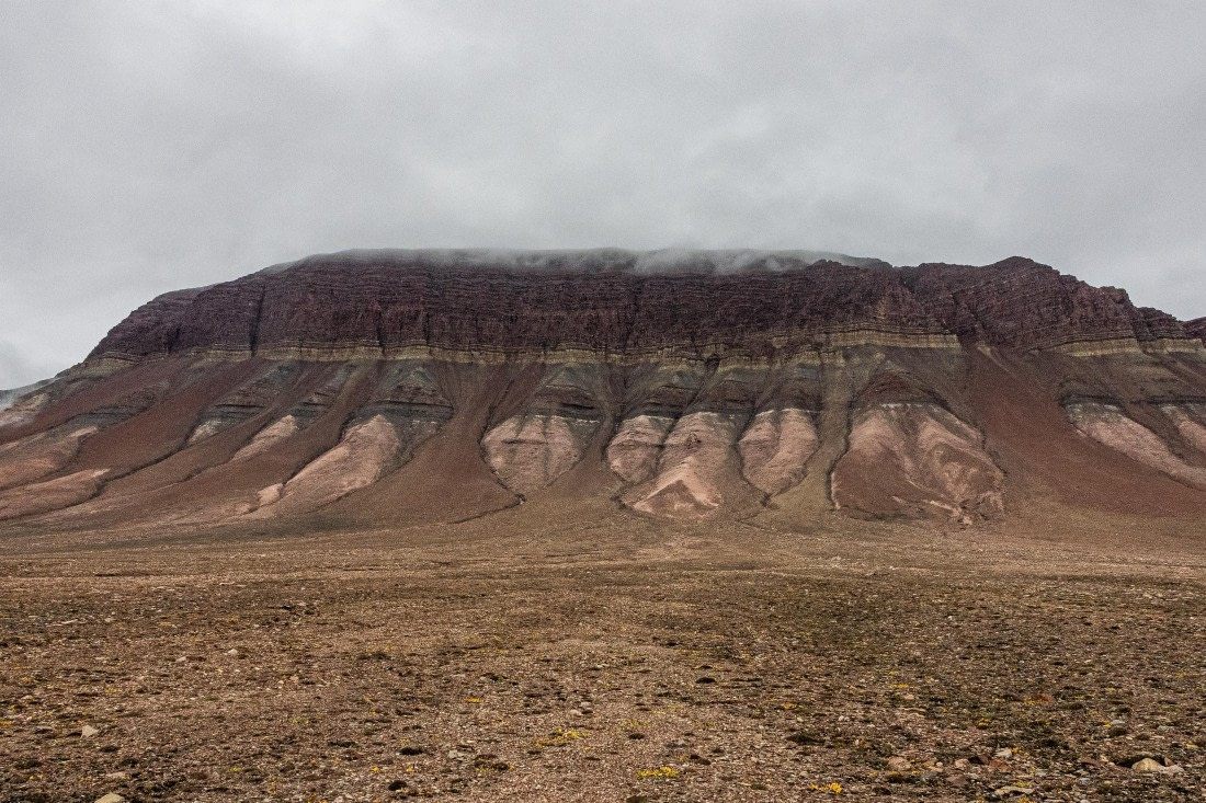 HDS11-25, Day 8, 5D5A2901 © Unknown photographer - Oceanwide Expeditions.jpg
