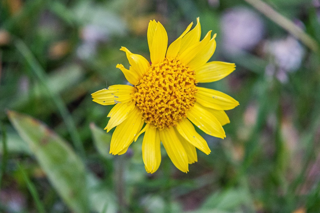 HDS11-25, Day 8, 5D5A2912 © Unknown photographer - Oceanwide Expeditions.jpg