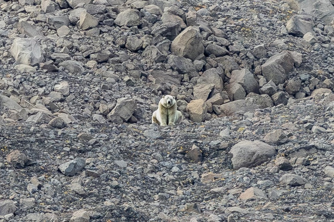 HDS11-25, Day 9, 5D5A3109 © Unknown photographer - Oceanwide Expeditions.jpg