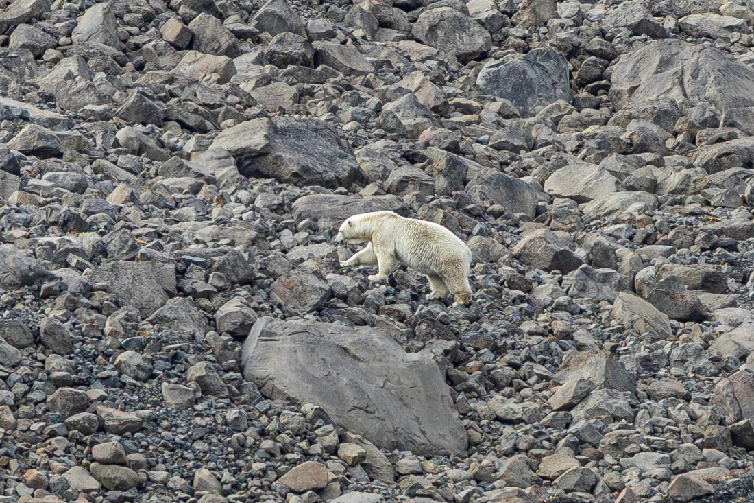 HDS11-25, Day 9, 5D5A3114 © Unknown photographer - Oceanwide Expeditions.jpg