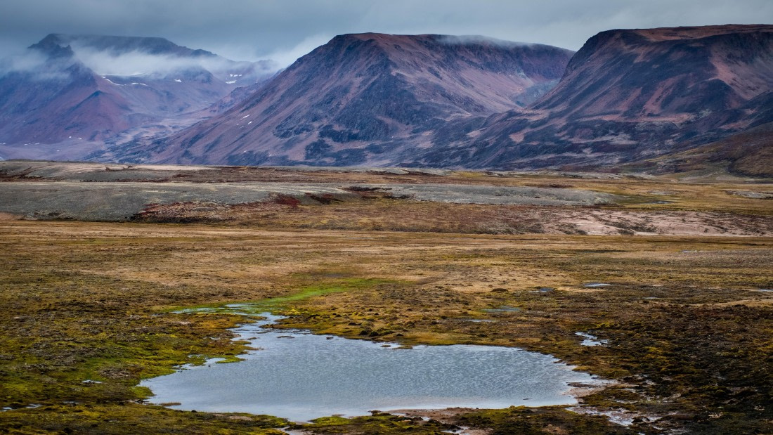 HDS11-25, Day 12, RLO_5824.jpg © Alexander Romanovski - Oceanwide Expeditions.jpg