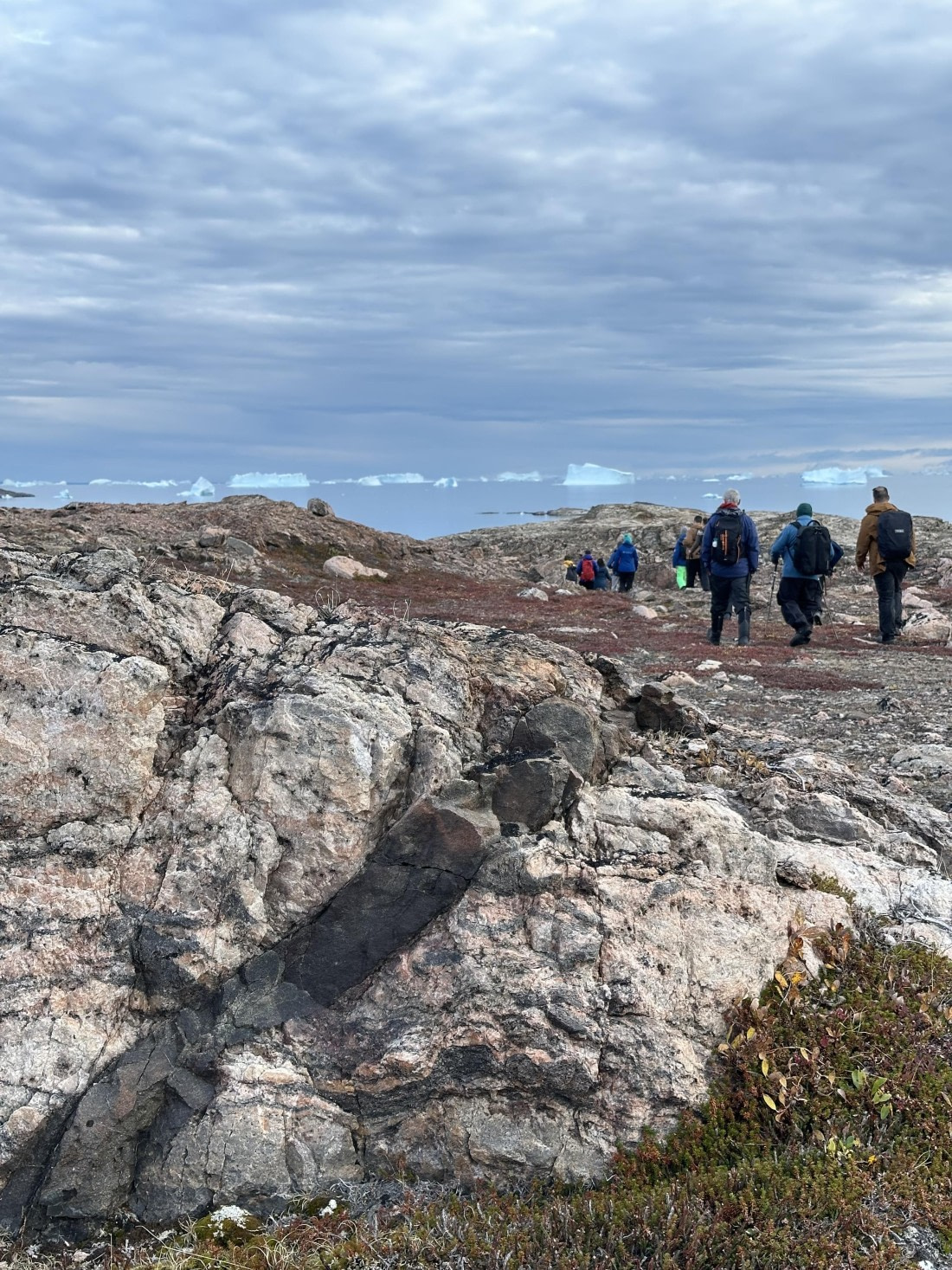 OTL12-25, Day 7, IMG_5829.jpeg © Unknown photographer - Oceanwide Expeditions.jpeg