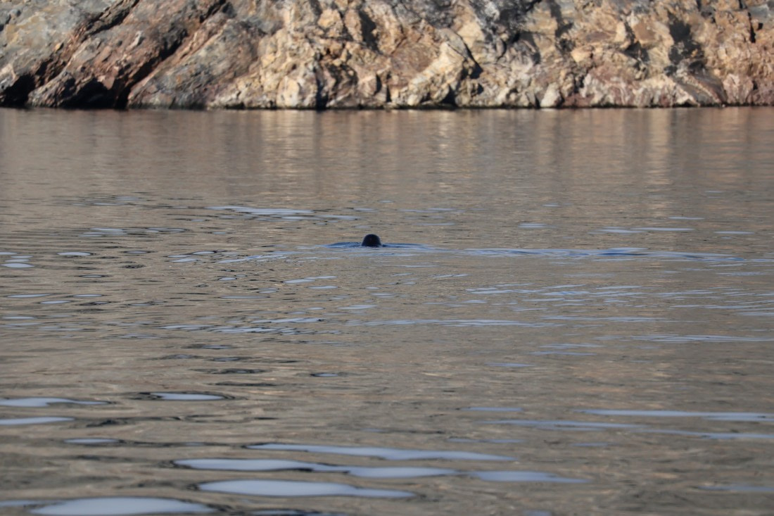 OTL12-25, Day 4, IMG_3671.JPG © Beth Hitchcock - Oceanwide Expeditions.JPG