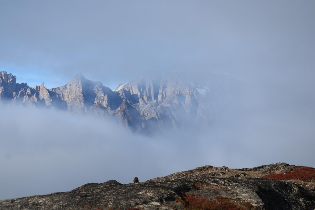 OTL12-25, Day 4, IMG_3680.JPG © Beth Hitchcock - Oceanwide Expeditions.JPG