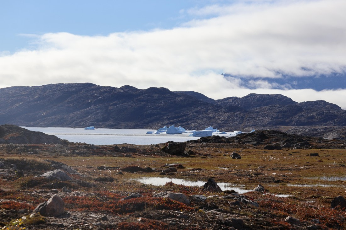 OTL12-25, Day 4, IMG_3683.JPG © Beth Hitchcock - Oceanwide Expeditions.JPG