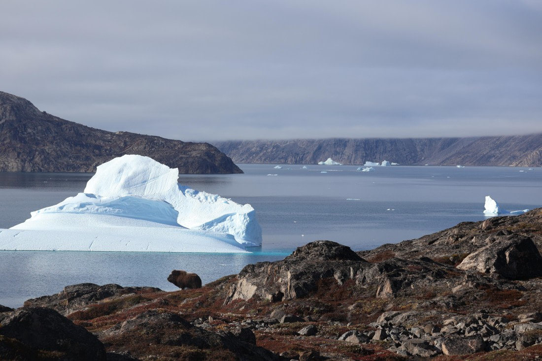 OTL12-25, Day 4, IMG_3696.JPG © Beth Hitchcock - Oceanwide Expeditions.JPG