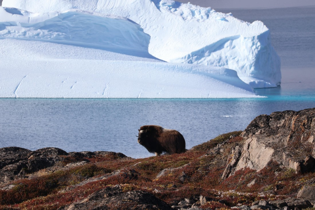 OTL12-25, Day 4, IMG_3701.JPG © Beth Hitchcock - Oceanwide Expeditions.JPG