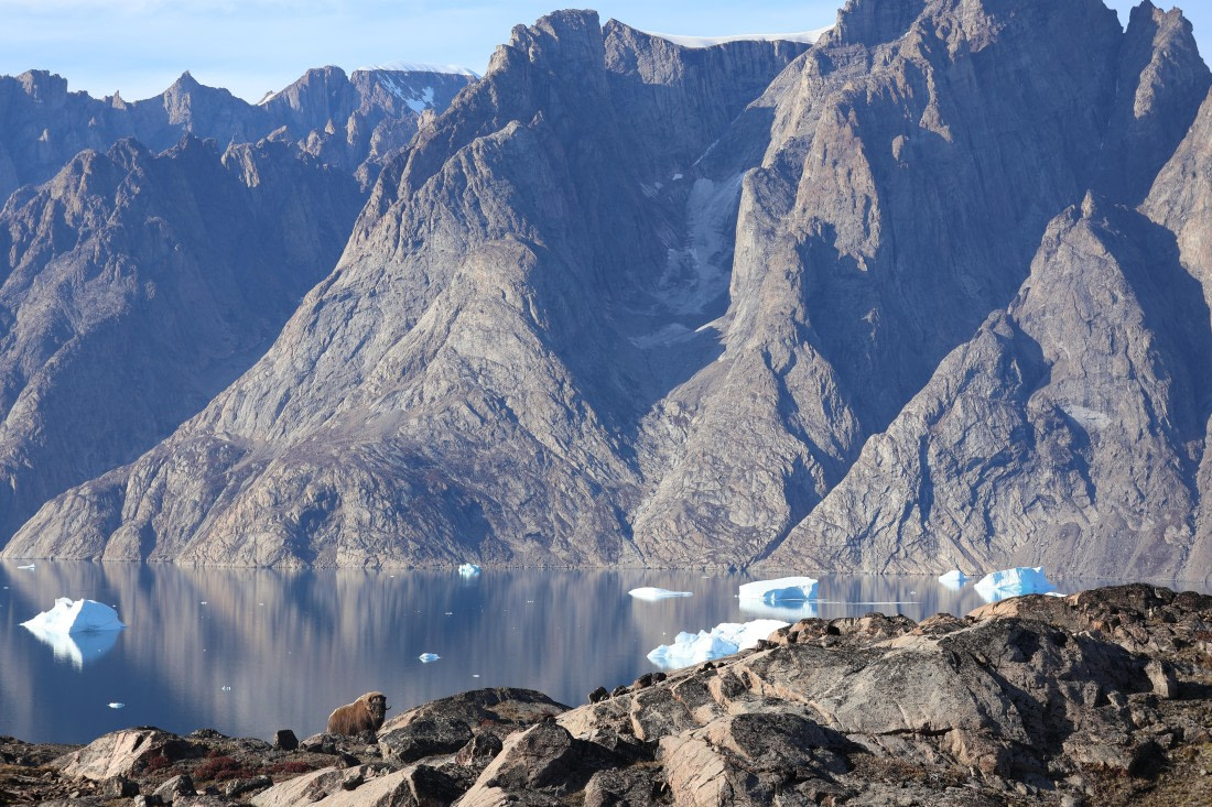 OTL12-25, Day 4, IMG_3756.JPG © Beth Hitchcock - Oceanwide Expeditions.JPG