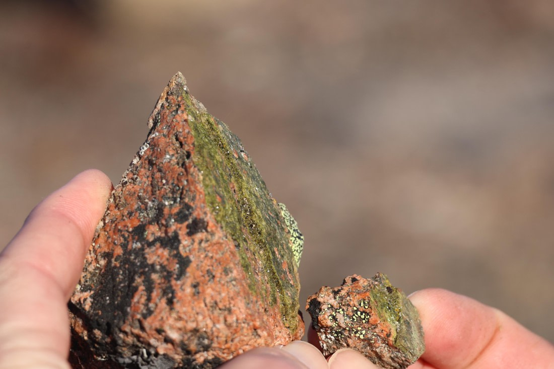 OTL12-25, Day 4, IMG_3758.JPG © Beth Hitchcock - Oceanwide Expeditions.JPG