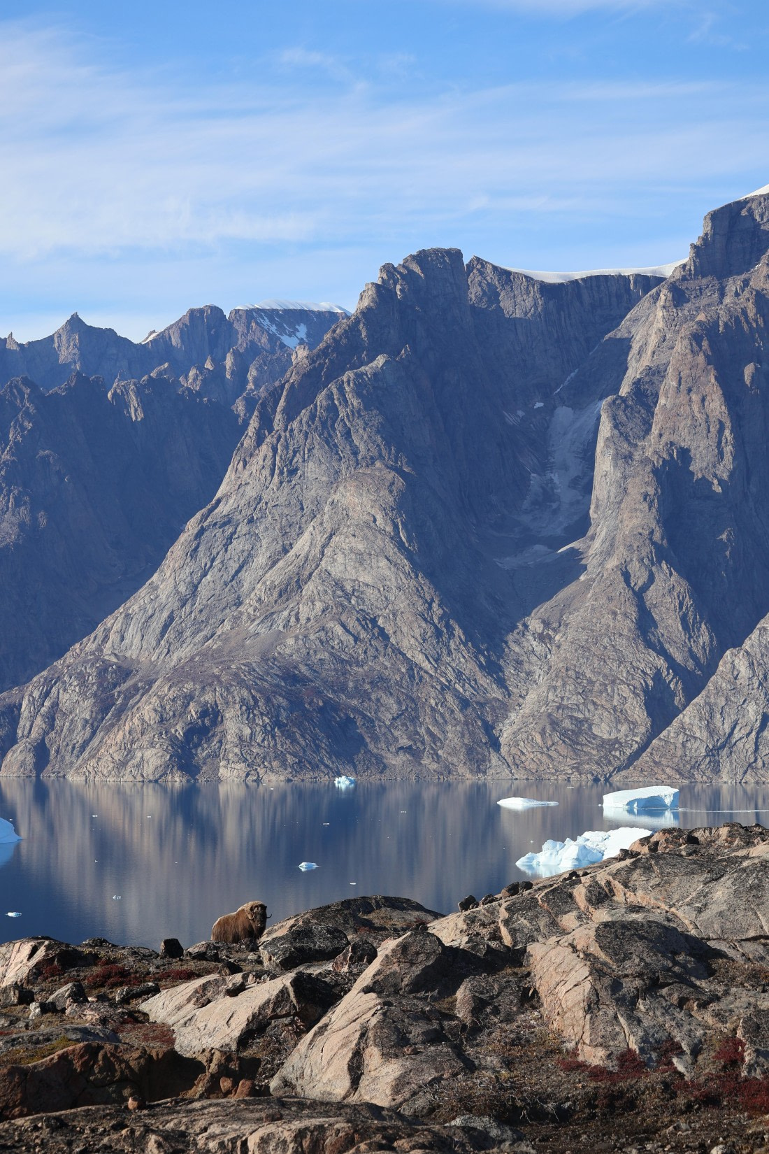 OTL12-25, Day 4, IMG_3757.JPG © Beth Hitchcock - Oceanwide Expeditions.JPG