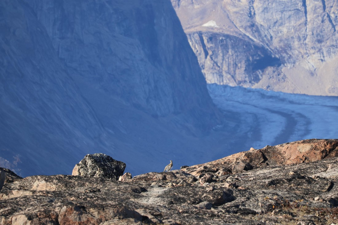 OTL12-25, Day 4, IMG_3759.JPG © Beth Hitchcock - Oceanwide Expeditions.JPG