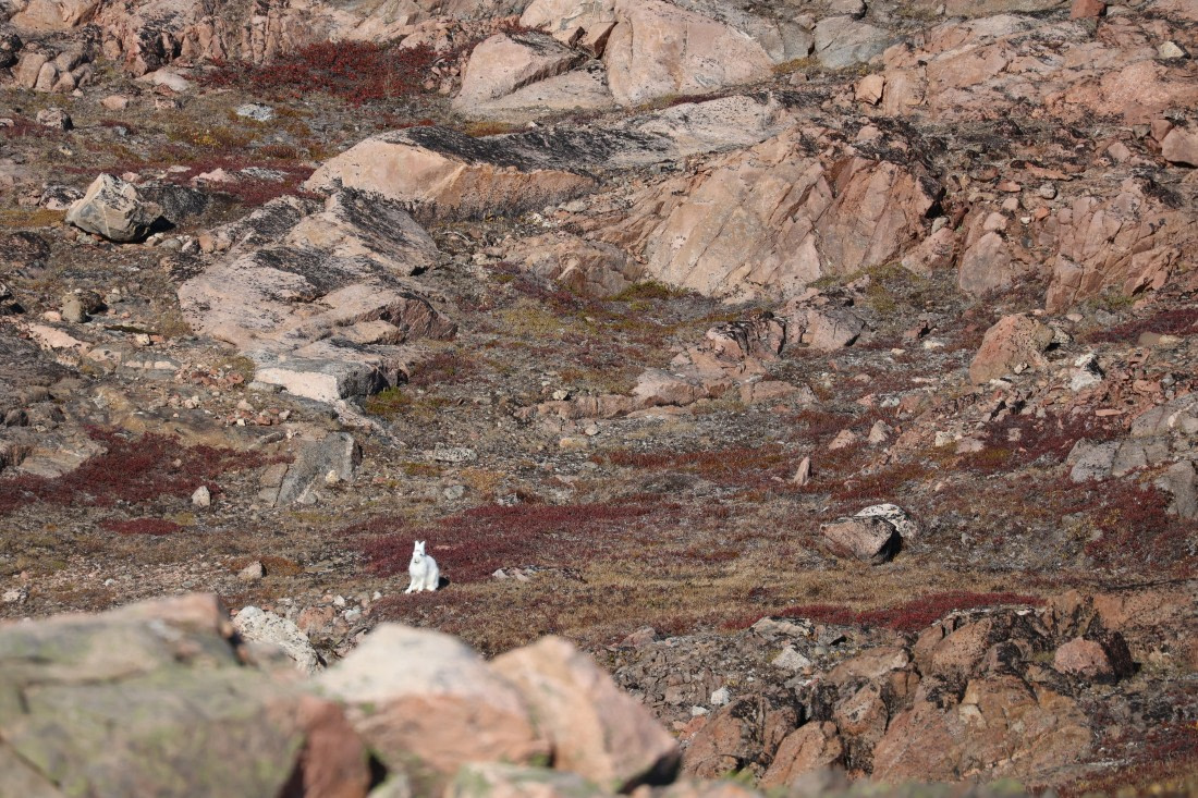 OTL12-25, Day 4, IMG_3763.JPG © Beth Hitchcock - Oceanwide Expeditions.JPG