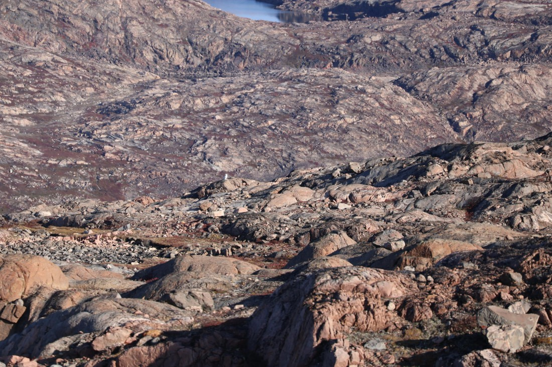 OTL12-25, Day 4, IMG_3803.JPG © Beth Hitchcock - Oceanwide Expeditions.JPG