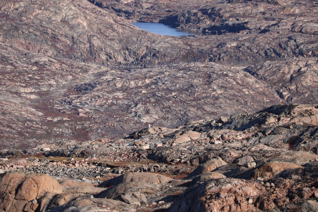 OTL12-25, Day 4, IMG_3804.JPG © Beth Hitchcock - Oceanwide Expeditions.JPG