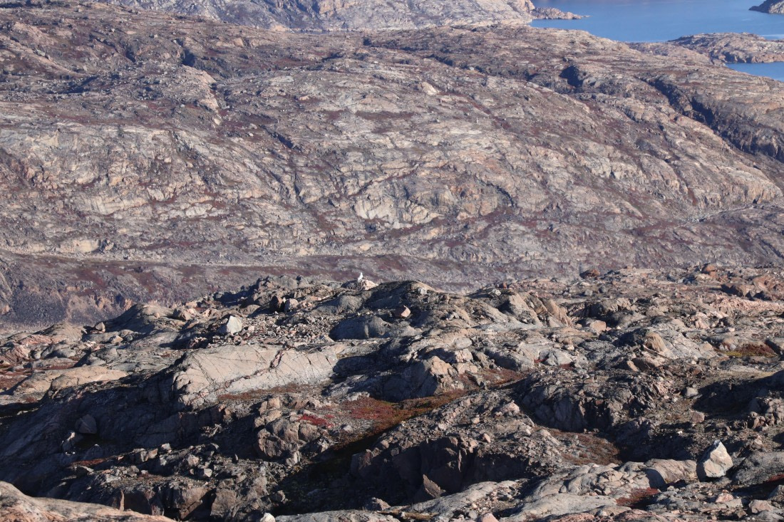 OTL12-25, Day 4, IMG_3805.JPG © Beth Hitchcock - Oceanwide Expeditions.JPG