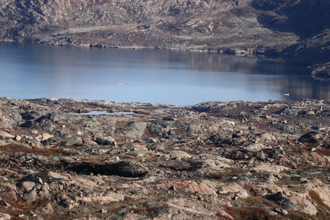 OTL12-25, Day 4, IMG_3806.JPG © Beth Hitchcock - Oceanwide Expeditions.JPG