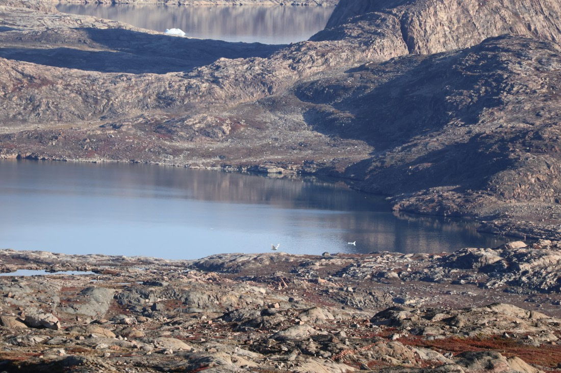 OTL12-25, Day 4, IMG_3807.JPG © Beth Hitchcock - Oceanwide Expeditions.JPG