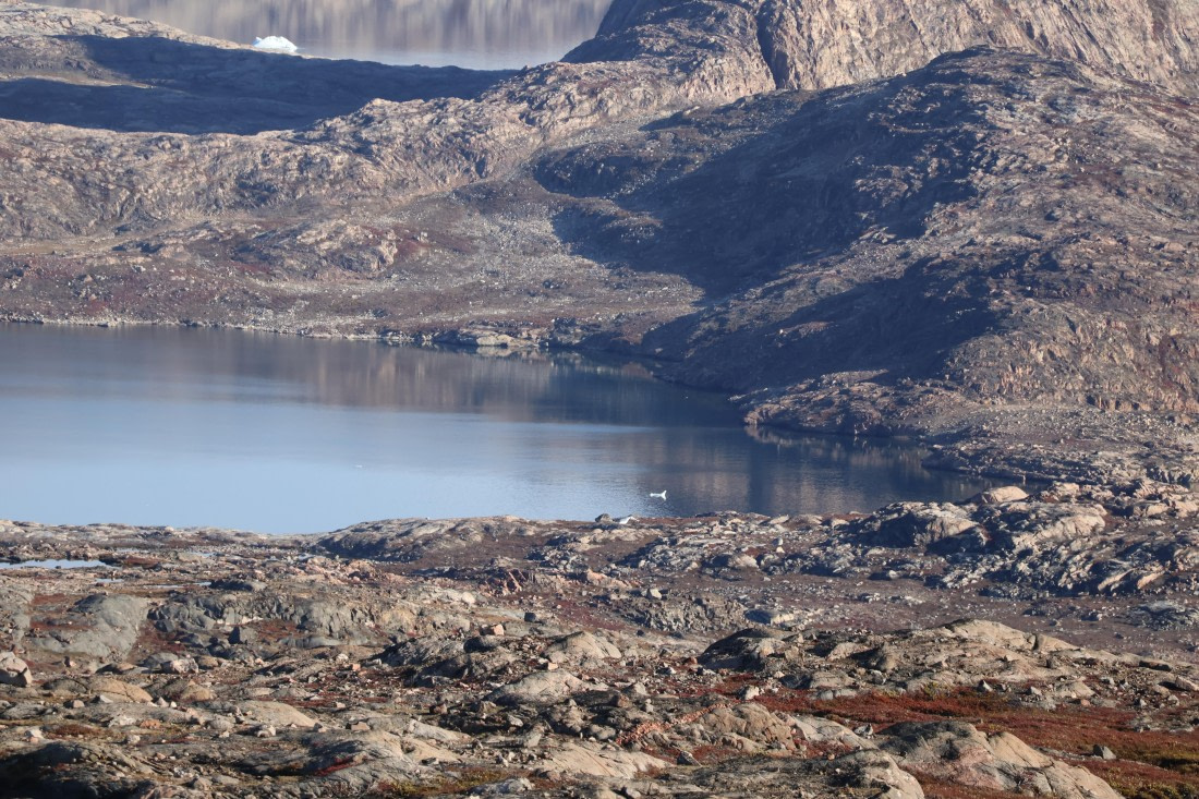 OTL12-25, Day 4, IMG_3808.JPG © Beth Hitchcock - Oceanwide Expeditions.JPG