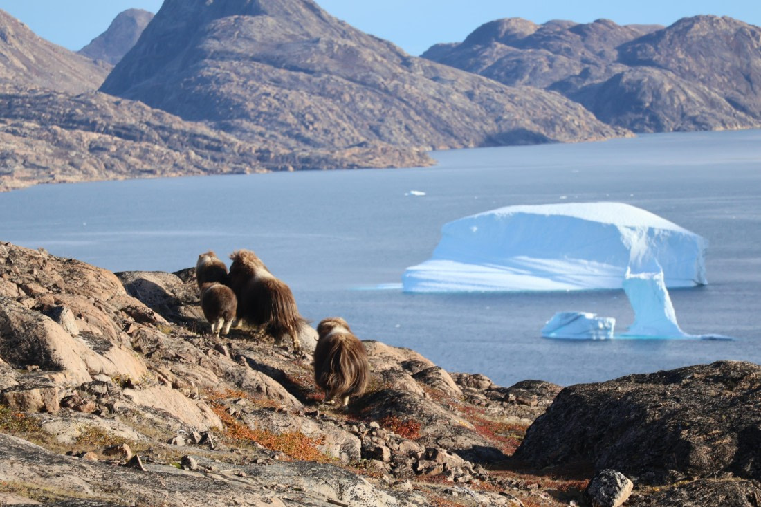 OTL12-25, Day 4, IMG_3816.JPG © Beth Hitchcock - Oceanwide Expeditions.JPG