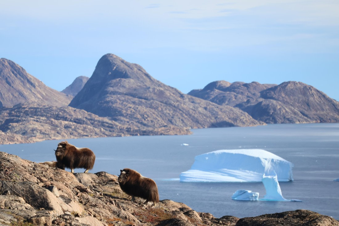 OTL12-25, Day 4, IMG_3818.JPG © Beth Hitchcock - Oceanwide Expeditions.JPG