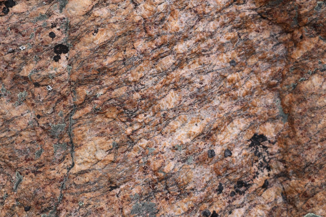 OTL12-25, Day 5, IMG_3876.JPG © Beth Hitchcock - Oceanwide Expeditions.JPG