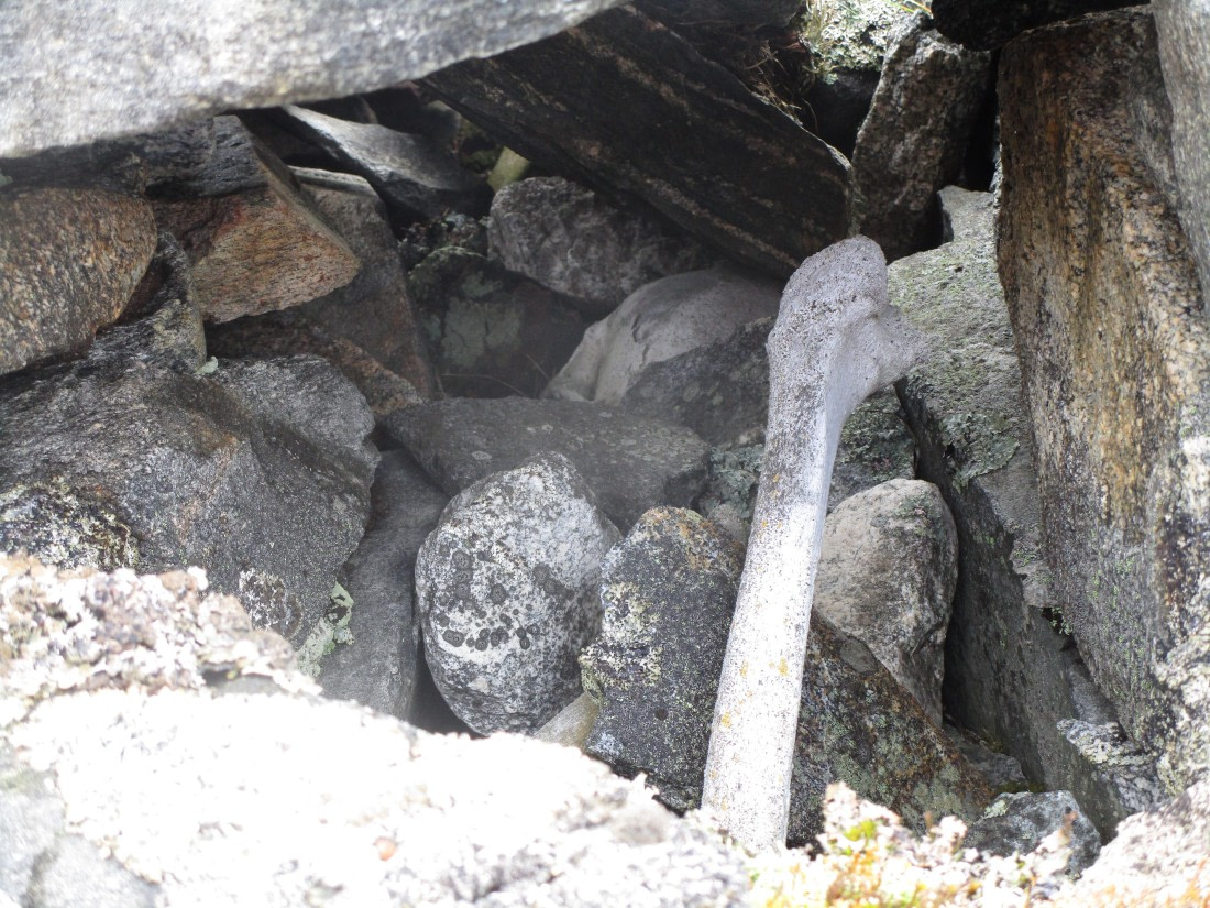 PLA12-25, Day 2, IMG_9214.JPG © Unknown photographer - Oceanwide Expeditions.JPG