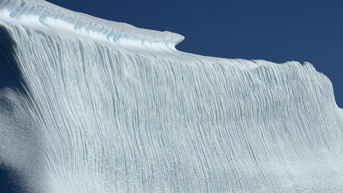 PLA12-25, Day 5, IMG_E1533.jpg © Unknown photographer - Oceanwide Expeditions.jpg