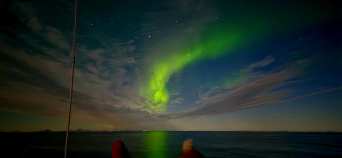 Aurora borealis auf der MS Plancius