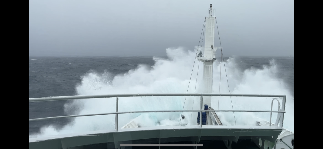 HDS12-25, Day 2,  IMG_3160.PNG © Unknown photographer - Oceanwide Expeditions.PNG