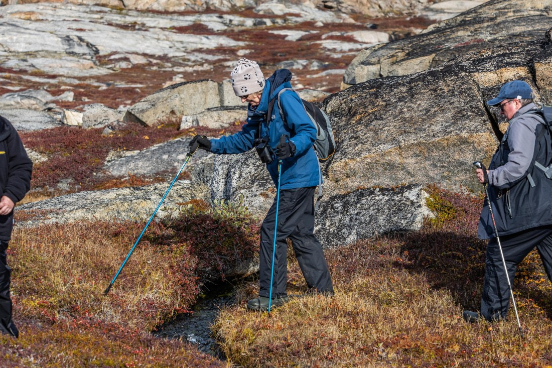 HDS12-25, Day 3,  5D5A3515.jpg © Unknown photographer - Oceanwide Expeditions.jpg