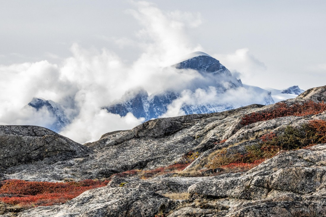 HDS12-25, Day 3,  5D5A3531.jpg © Unknown photographer - Oceanwide Expeditions.jpg