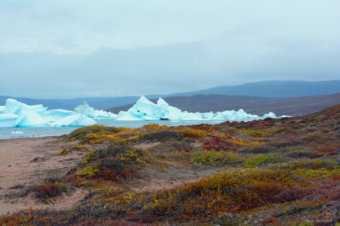 HDS12-25, Day 4,  _DSC7839 Hana.jpg © Hana Spickova - Oceanwide Expeditions.jpg
