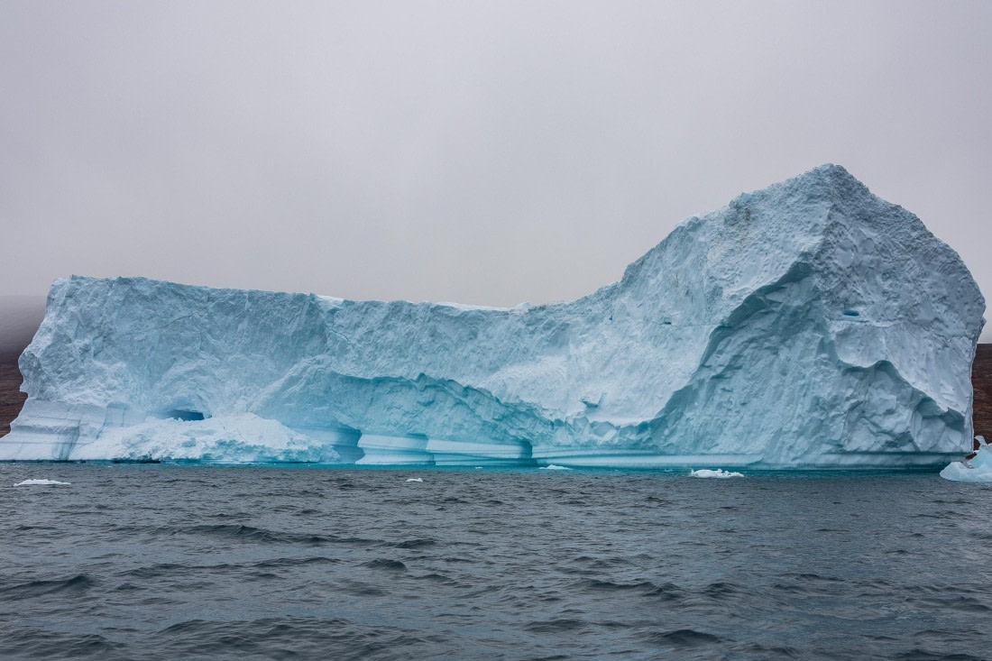 HDS12-25, Day 4,  5D5A3566.jpg © Unknown photographer - Oceanwide Expeditions.jpg