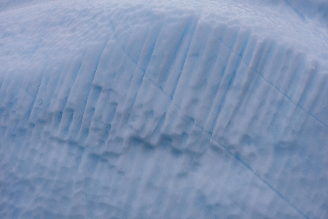 HDS12-25, Day 4,  5D5A3586.jpg © Unknown photographer - Oceanwide Expeditions.jpg