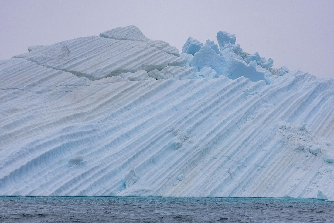 HDS12-25, Day 4,  5D5A3604.jpg © Unknown photographer - Oceanwide Expeditions.jpg