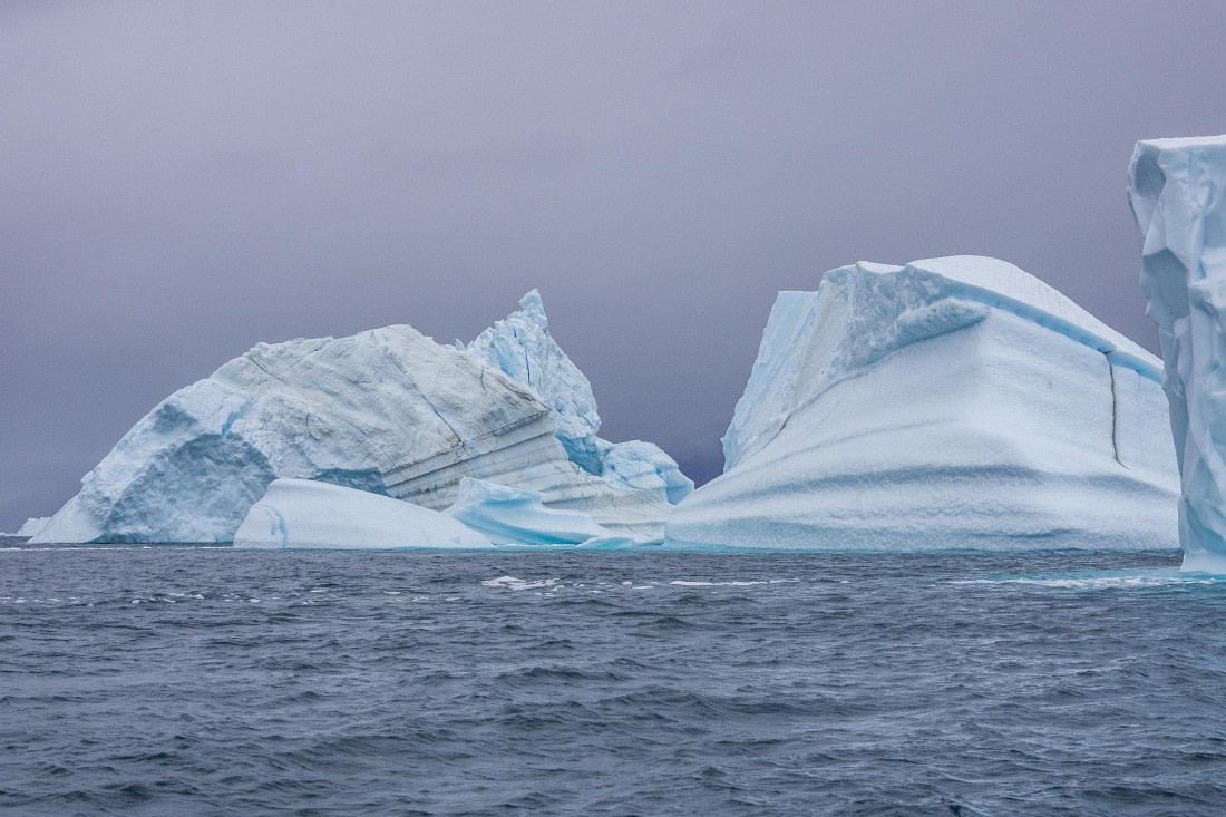 HDS12-25, Day 4,  5D5A3616.jpg © Unknown photographer - Oceanwide Expeditions.jpg