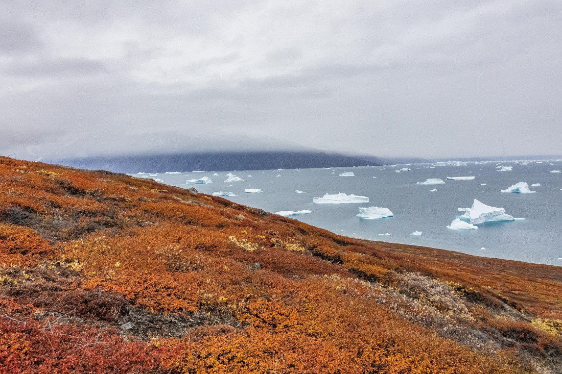 HDS12-25, Day 4,  5D5A3637.jpg © Unknown photographer - Oceanwide Expeditions.jpg
