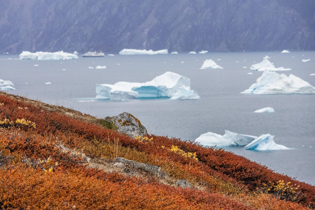 HDS12-25, Day 4,  5D5A3640.jpg © Unknown photographer - Oceanwide Expeditions.jpg