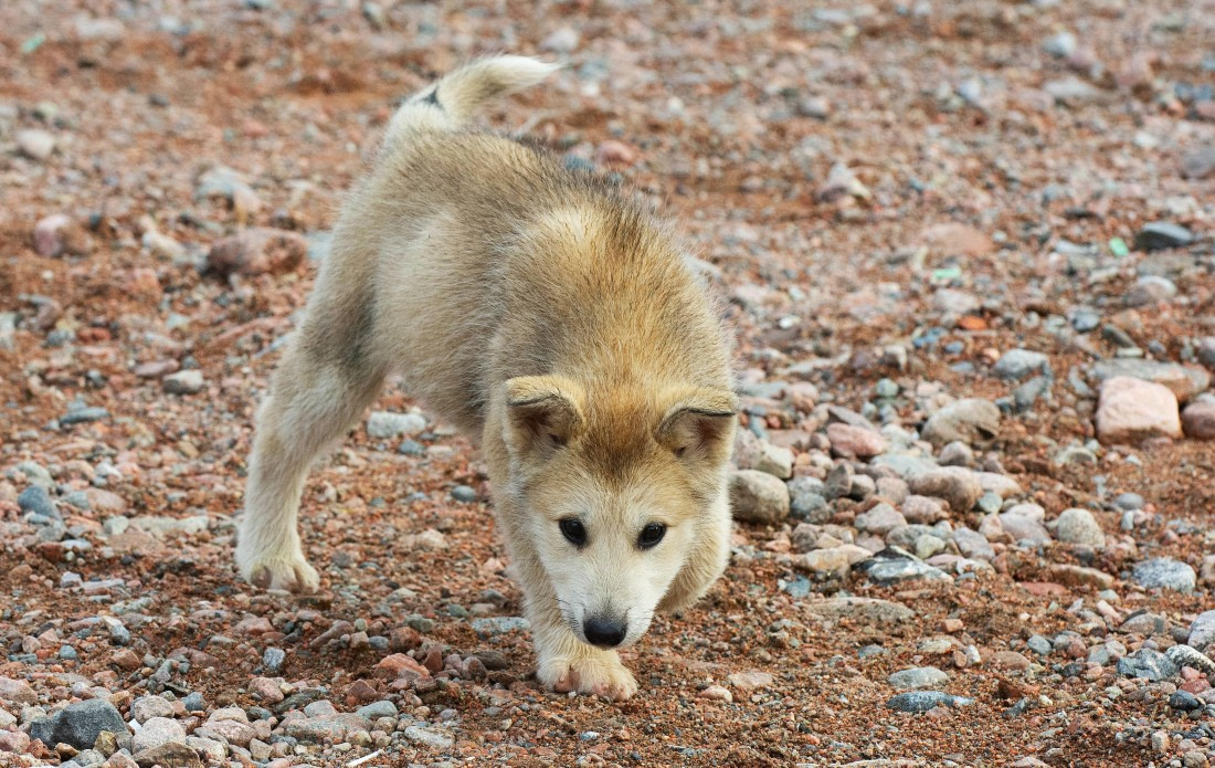 HDS12-25, Day 6,  _DSC7858 Hana.jpg © Hana Spickova - Oceanwide Expeditions.jpg